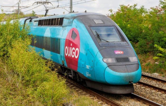 Ouigo slashes prices in Spain: Renfe accuses the French company of unfair competition