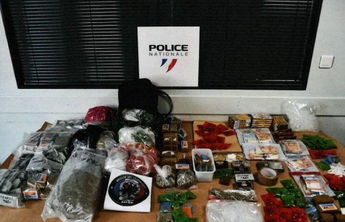 Drug trafficking: behind the scenes of the “Le Petit Albigeois” home delivery network