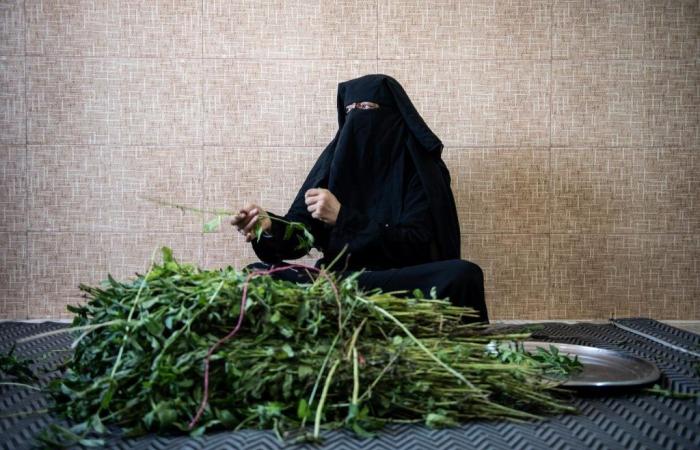 In Raqqa, the delicate reintegration of former “Daesh women”