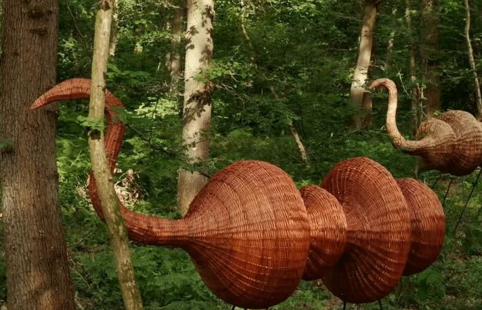 the Monumental Forest comes to life near Rouen