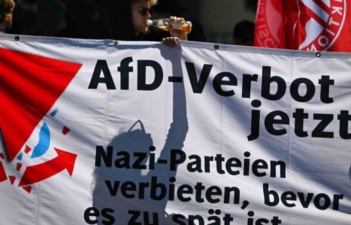 Protesters protest against AfD party congress