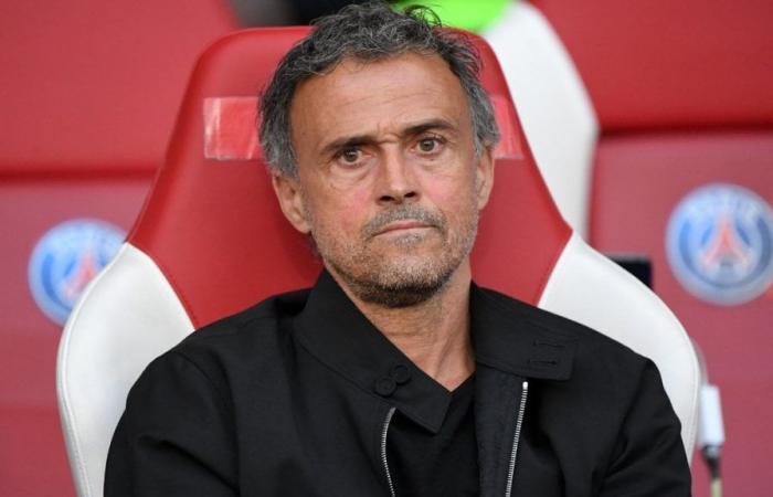Mercato – PSG: Luis Enrique doesn’t want it anymore, he’s ready to leave!