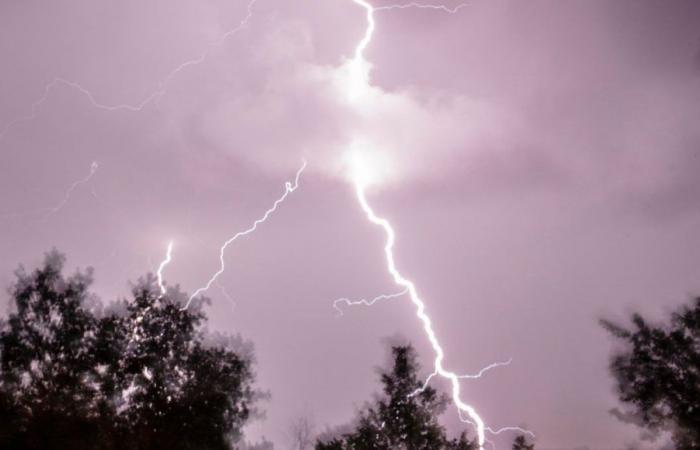 Violent storms expected in Alsace: TER trains cancelled, parks closed