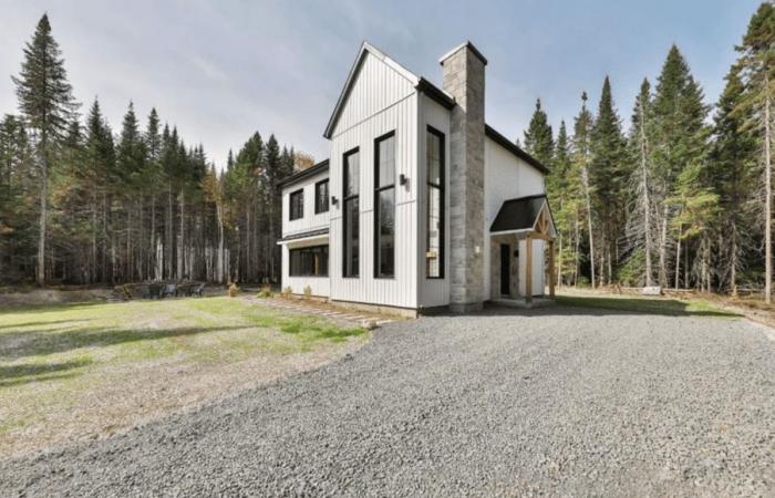 Magnificent Scandinavian construction from 2023 with access to the lake