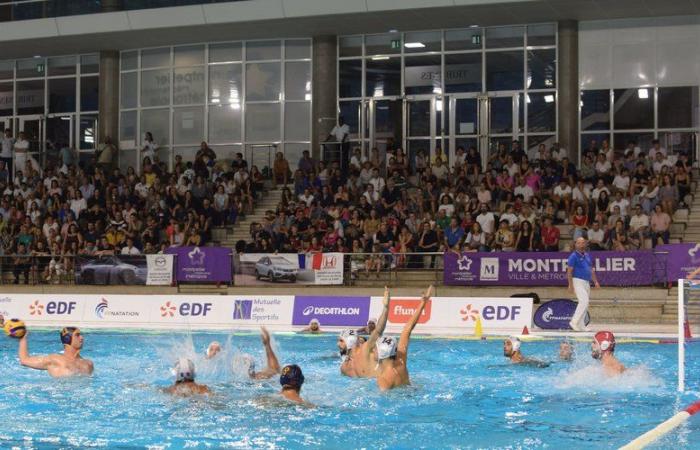 Paris 2024 Olympic Games: In a preparation match against Montenegro, the French water polo team delights the Montpellier public