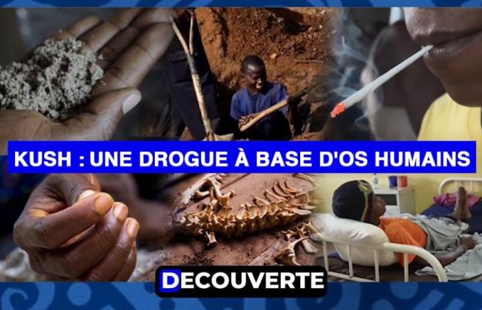 DISCOVERY (N°6) – Kush: A Drug Based on Human Bones from Sierra Leone, Extends its Influence to Senegal