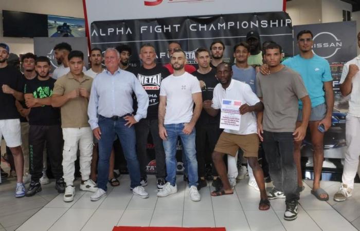 Sports – MMA – Alpha Fight Championship: the assurance of a combative evening in Istres