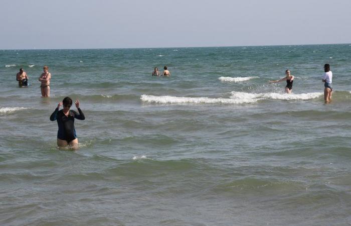 Ban on swimming on the southern beach of Grau-du-Roi: Mayor Robert Crauste issues an order following an appeal by the ARS