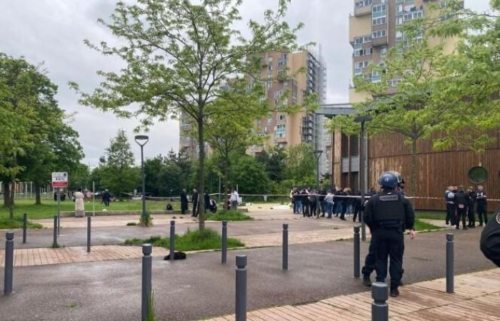 In Seine-Saint-Denis, the judicial police believe they have dismantled a “killer team” of narco-banditry