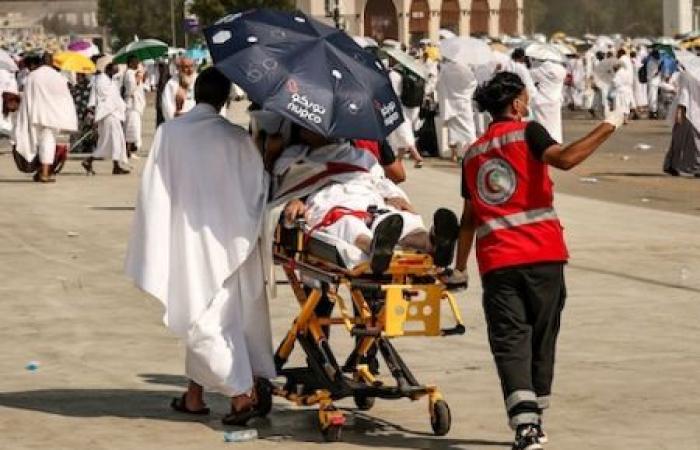 Covid cases brought back from Mecca: weekly health update