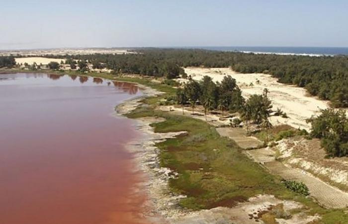 THE PINK LAKE WANTS TO RECOVER ITS SHINE