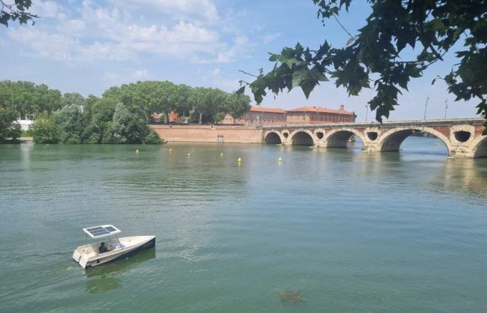 Concerts, rugby, tango and even… siesta: what to do in Toulouse this weekend?