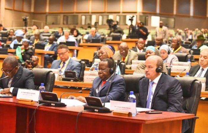 Pan-African Parliament task force examines Royal Atlantic Initiative opportunities