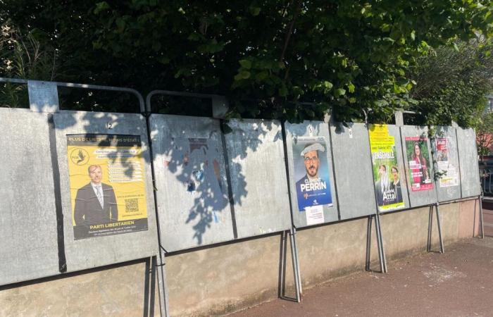 2024 legislative elections in Hauts-de-Seine: the complete list of candidates by constituency