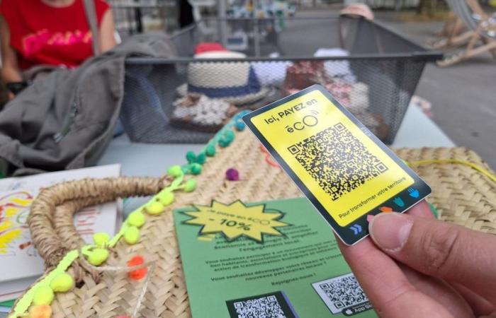 Seine Saint-Denis: Eco, the new local currency that aims to “reconcile economy and ecology”
