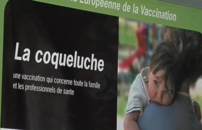 13 infants died in 2024, “the most fragile population” according to Public Health France