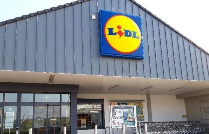 Lidl hits hard with this essential tent for summer – Tuxboard