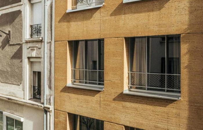 Houses made of earth, wood, straw… Solutions for more responsible housing in Paris?