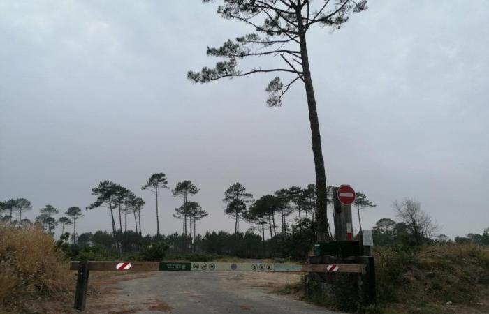 conflict between La Teste-de-Buch and the National Forestry Office over the devastated parking lot of La Salie Sud