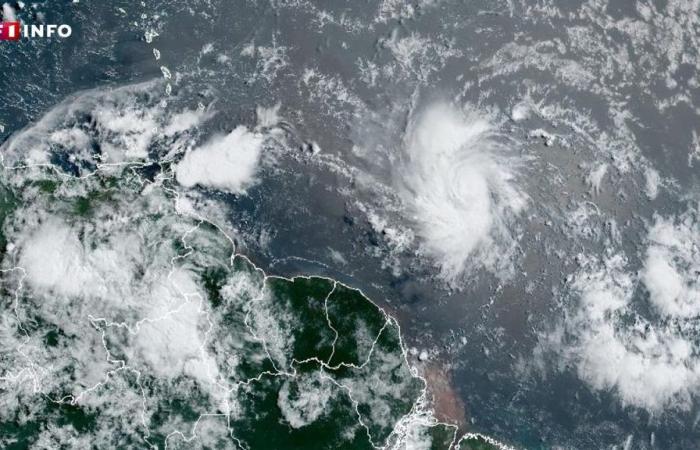Martinique: Storm Beryl threatens to become a hurricane before hitting the Antilles