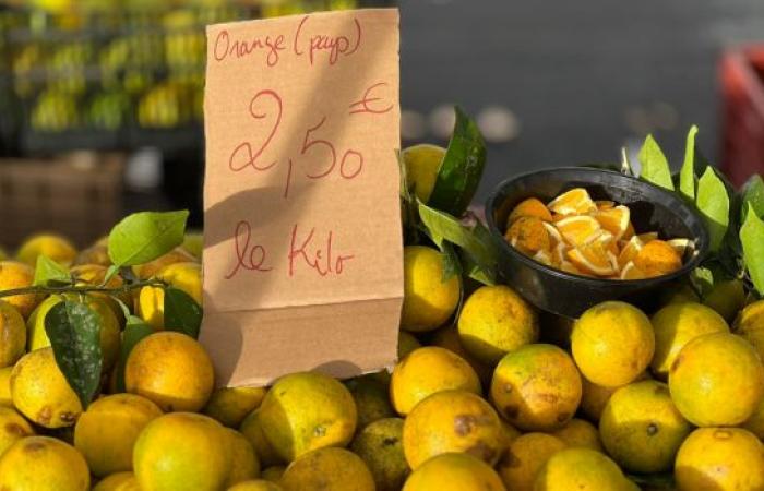 The local citrus season is back