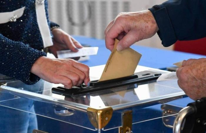 Legislative elections 2024. 45 candidates to be decided in the seven constituencies of Maine-et-Loire