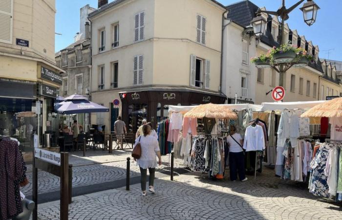 Legislative elections 2024 in Yvelines: diving into France which votes, on the markets of Mantois