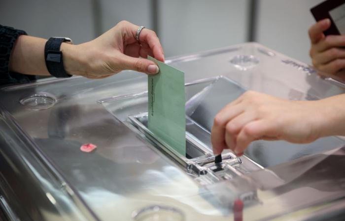 Legislative elections | French expatriates are called to the polls