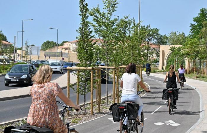 “A real bicycle highway”: the new Lattes cycle path, an additional link in the Vélolignes of Montpellier Métropole