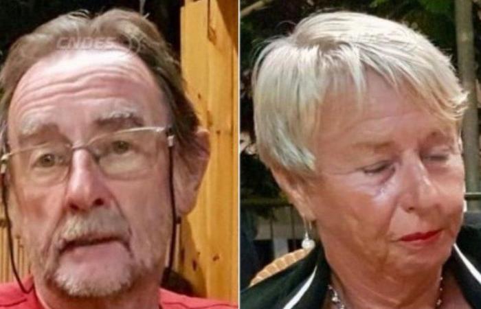 Couple disappeared in Tenerife: he took in and adopted their cat, a neighbor and friend of Marc and Laura testifies, two months after the tragedy
