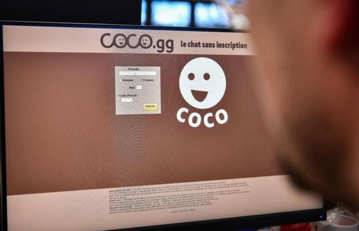 Four young people indicted in Grenoble for ambushes via the Coco website
