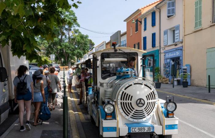 HYERES: This summer, adopt the little train of the peninsula!