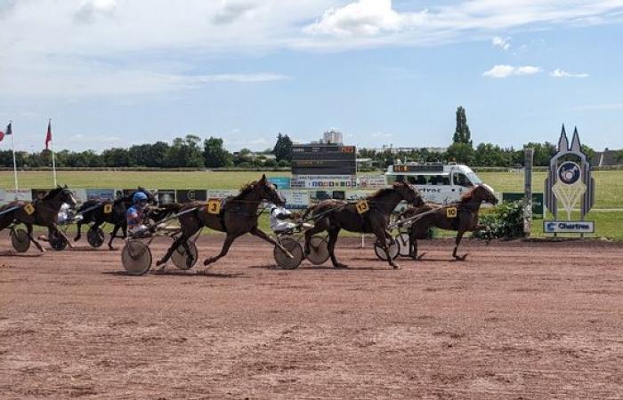 Franck Nivard still in the good shots at the Premium meeting at the Chartres racecourse