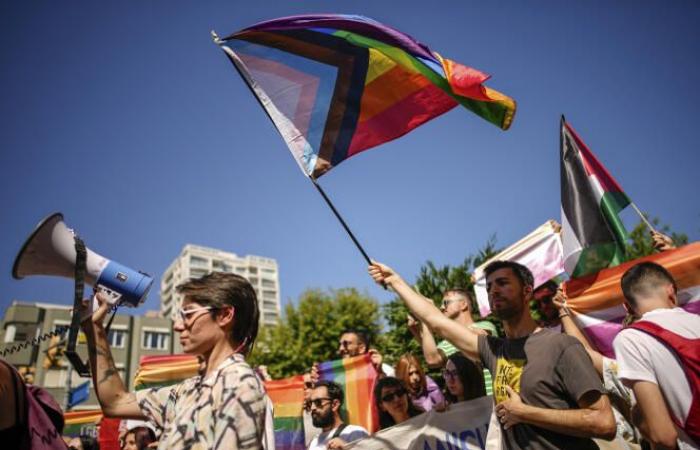Hundreds march briefly in Istanbul for lively Pride march, several arrests