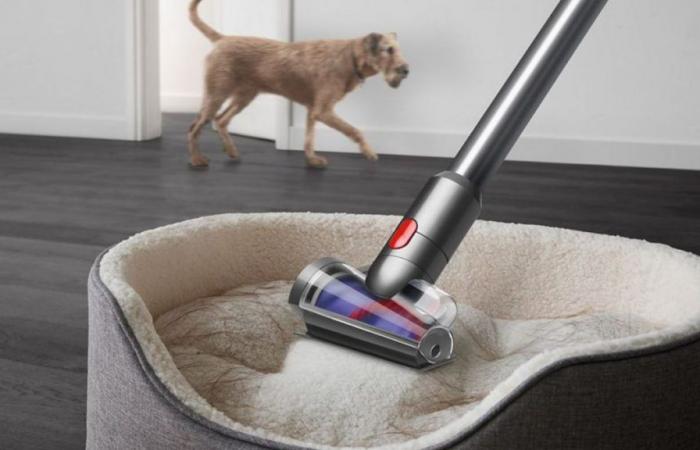 During the sales, Dyson drops the price of the V15 Detect™ Absolute vacuum cleaner by 200 euros