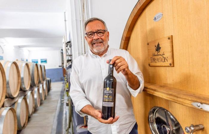 How, at the Domaine du Dragon in Draguignan, we elevate red wine to music