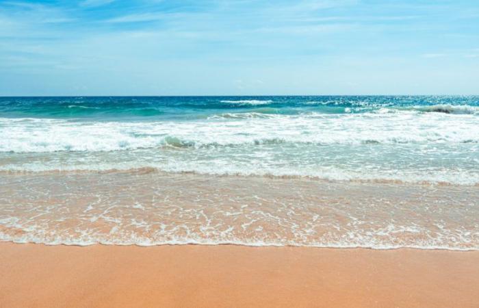 Sea water, sea air: the benefits of the sea on our health