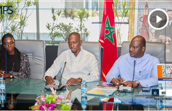 SENEGAL-ECONOMY-DIASPORA / APIX wants to create “agricultural cooperatives of the Diaspora” – Senegalese Press Agency