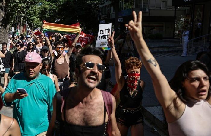 Arrests during flash pride march in Istanbul