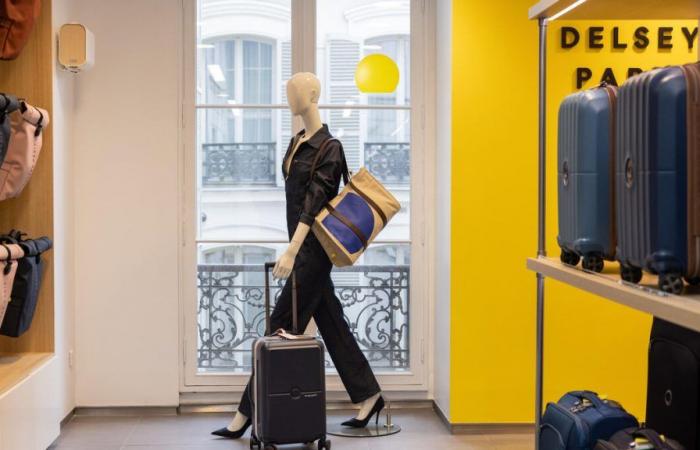 Lighter and repairable luggage, a French brand highlighted… the revival of Delsey Paris