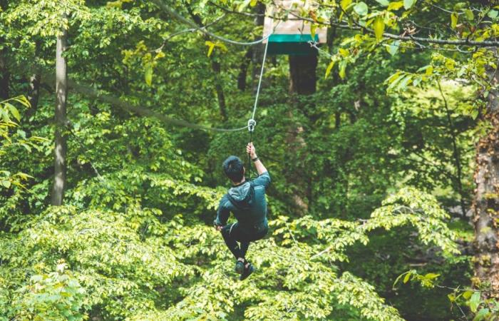 A brand new treetop adventure park has opened in Toulouse