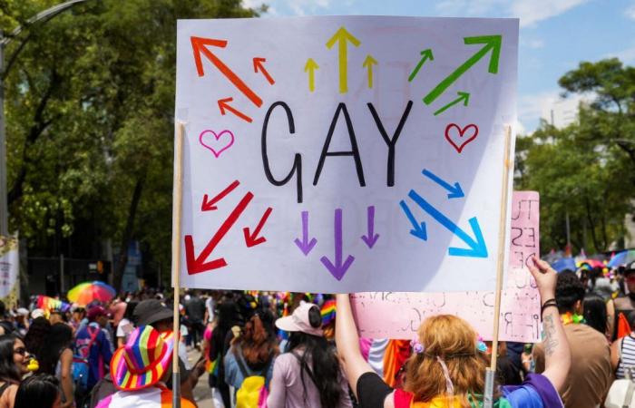 In Mexico, the LGBT+ pride march brought together more than a hundred thousand people
