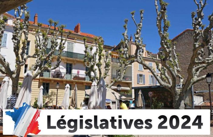 Result of the 2024 legislative elections in Le Cannet (06110) – 1st round [PUBLIE]