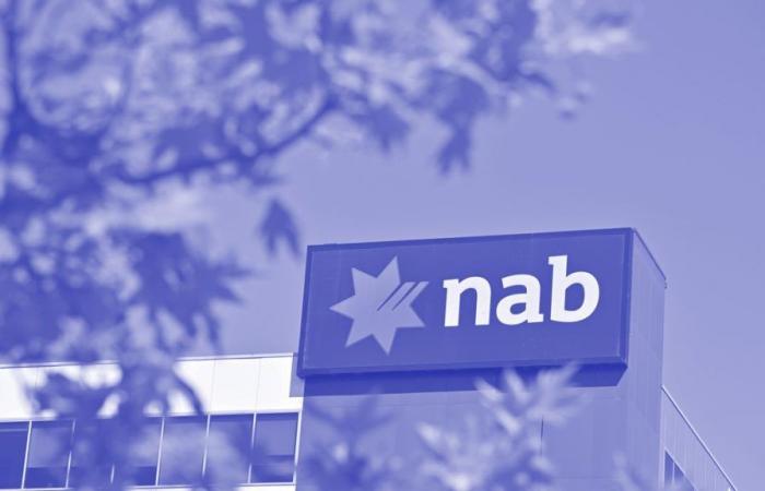 NAB Ventures is scouting for new investments as the bank VC model evolves — Capital Brief
