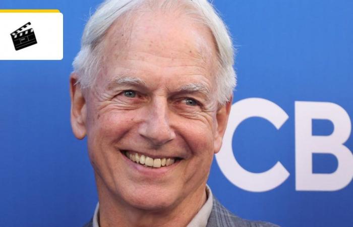 Mark Harmon returns to the cinema three years after leaving NCIS: his first role away from Gibbs will be the sequel to a cult film – Cinema News