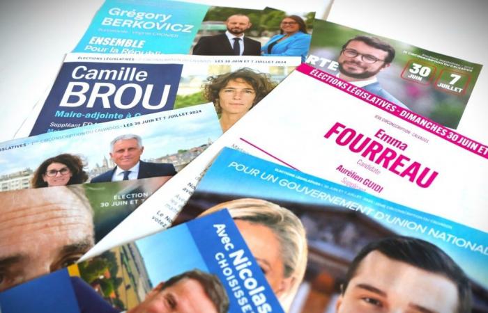 Direct. DIRECT. 2024 legislative elections: the results in Calvados, constituency by constituency