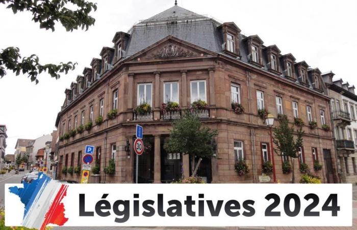 Results of the legislative elections in Schiltigheim: the 2024 election live