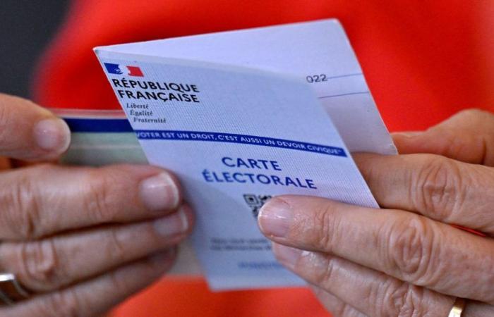 Legislative elections 2024: instructions for 1st round in Loiret