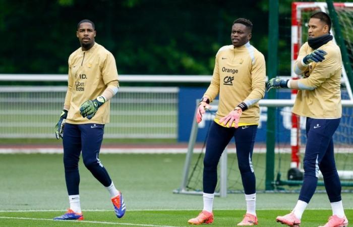 French team: Heavy duty is expected for a goalkeeper!