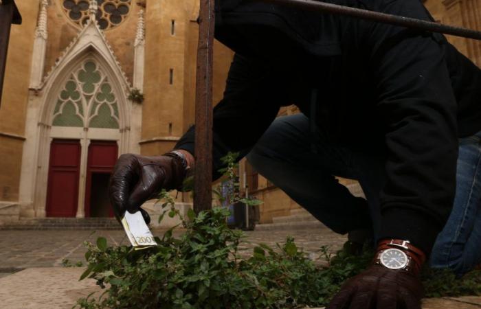 Mysterious stranger goes viral on Instagram by hiding banknotes in Aix-en-Provence